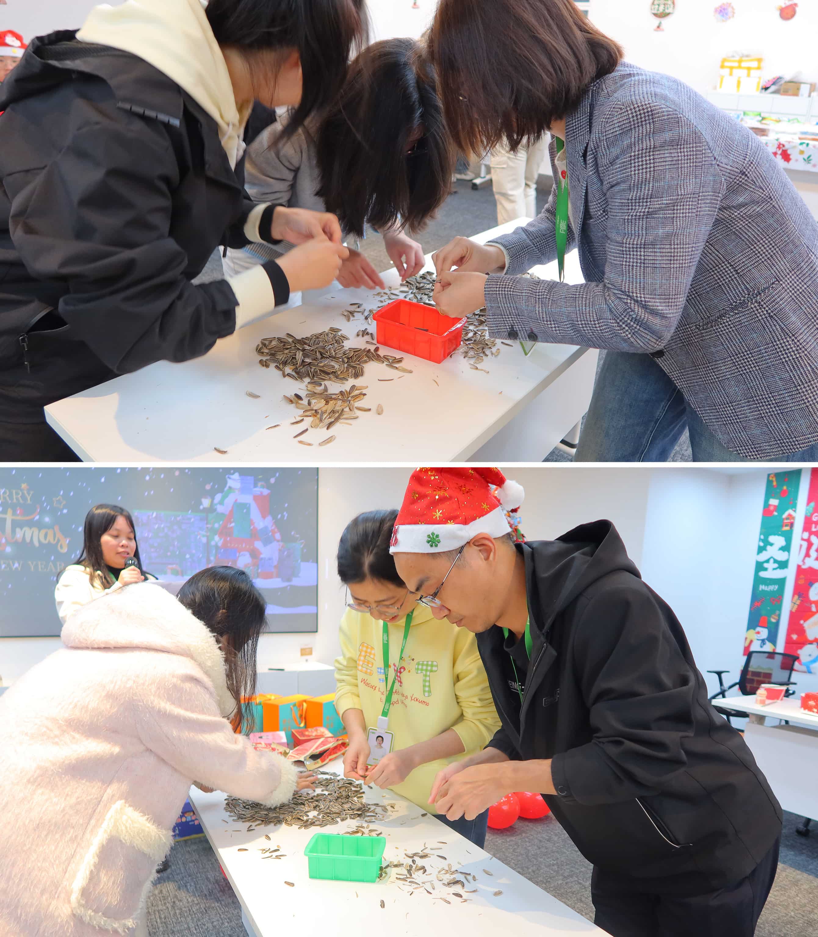 shengdan 2 shengdan 2