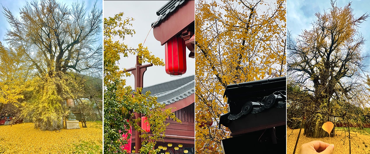 PCBAMake Team-Building Trip 6 PCBAMake Team-Building Trip 6